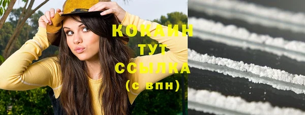прущие грибы Зеленокумск