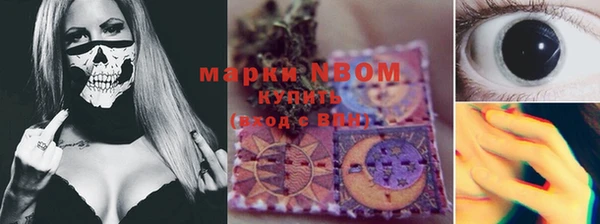 PSILOCYBIN Зерноград