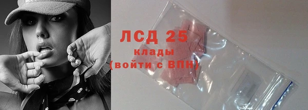 прущие грибы Зеленокумск