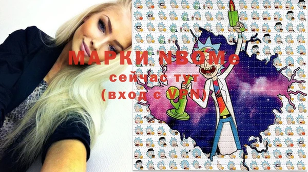 индика Инта