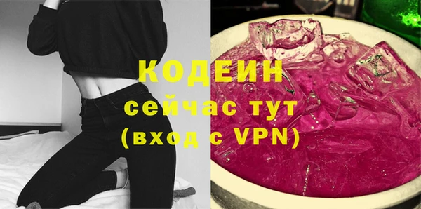 индика Инта