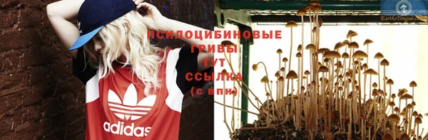 прущие грибы Зеленокумск