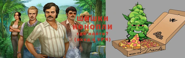 PSILOCYBIN Зерноград