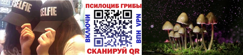 кракен   купить наркотики сайты  Луховицы  маркетплейс какой сайт  Галлюциногенные грибы Magic Shrooms 